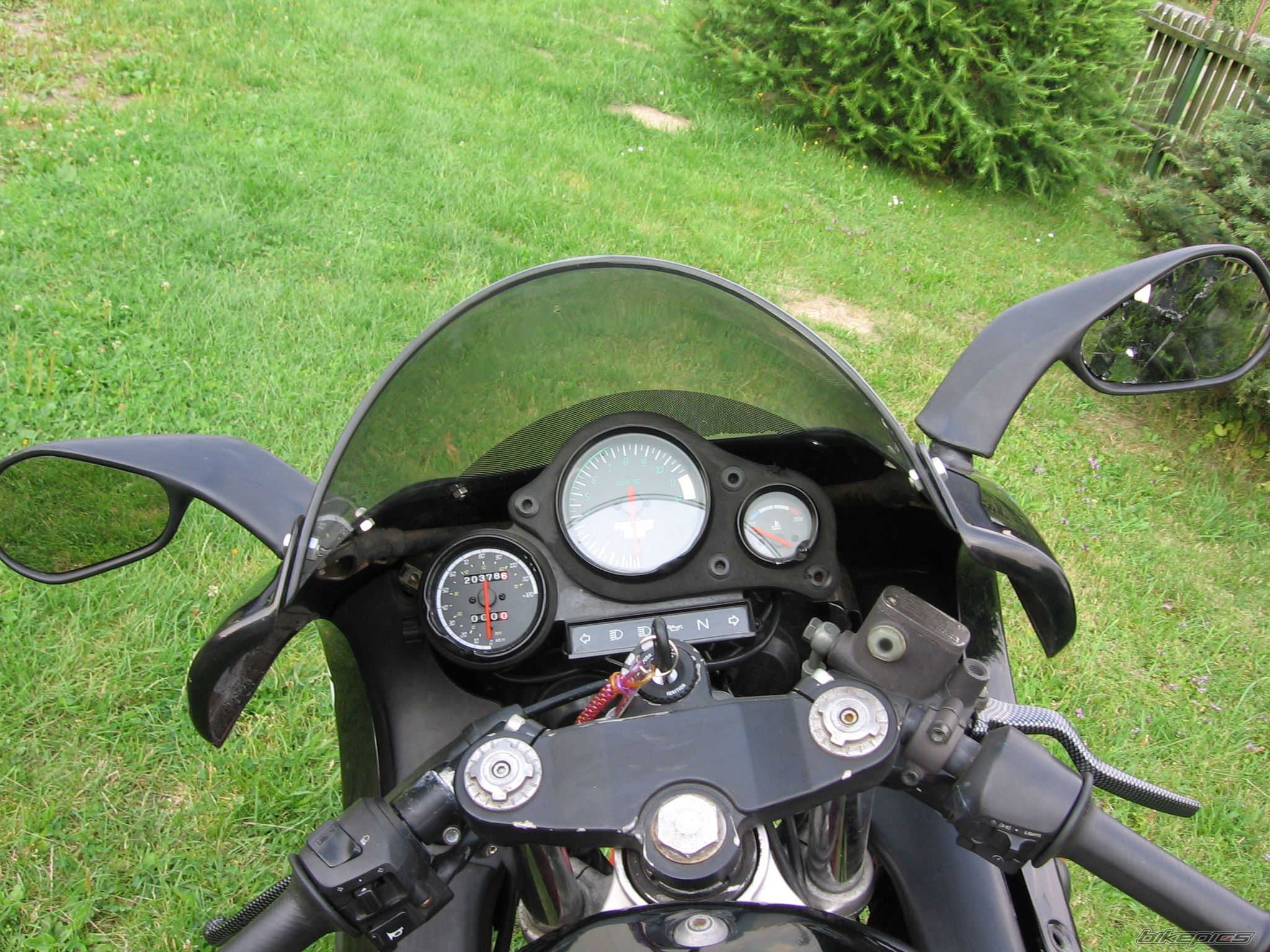 Photo 968279