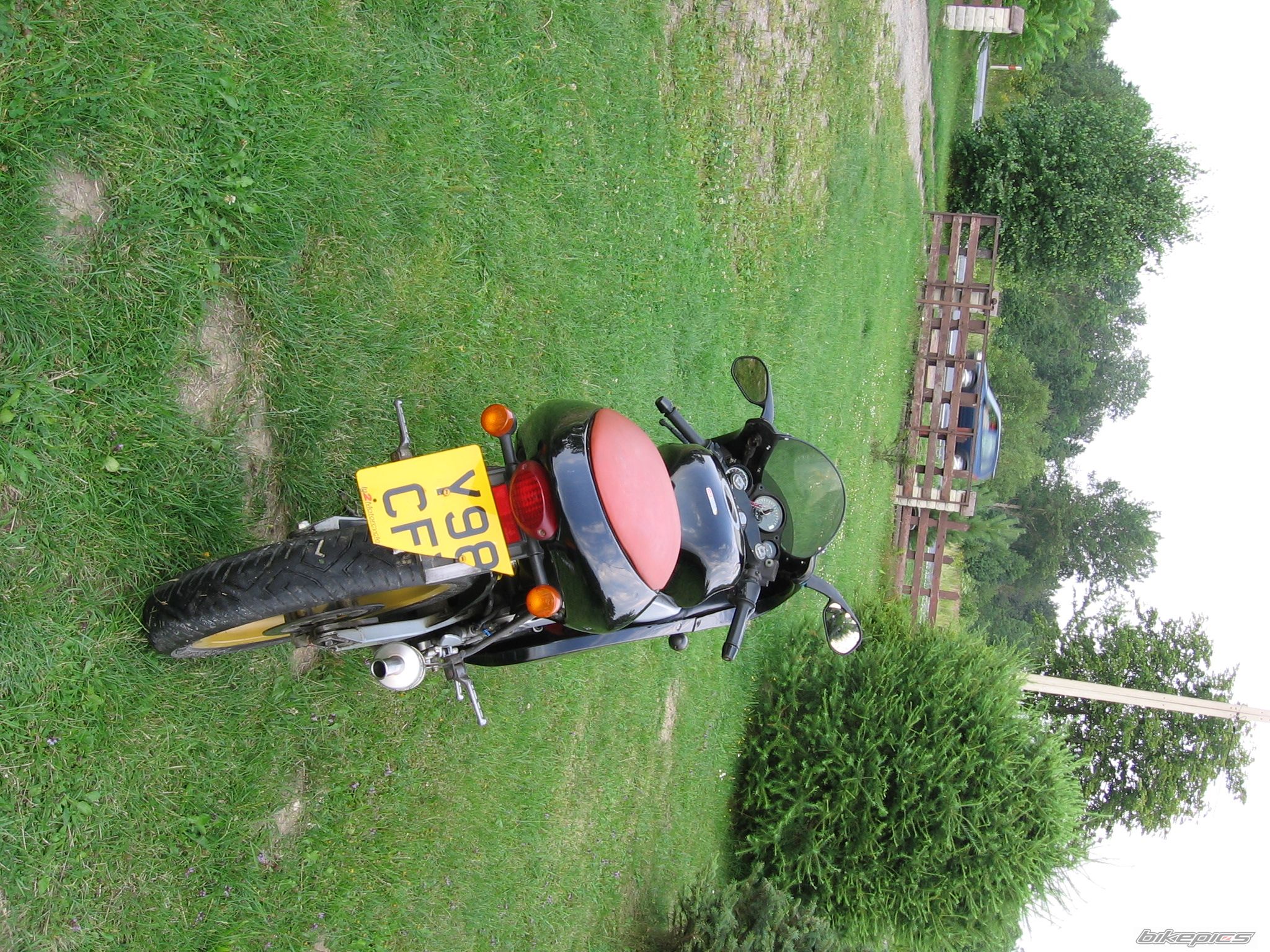 Photo 968281