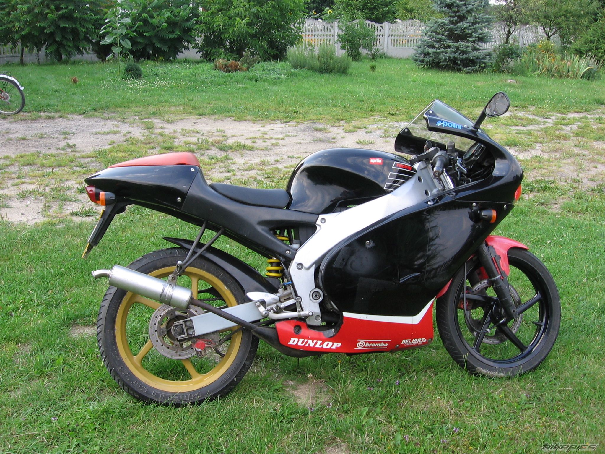 Photo 968282