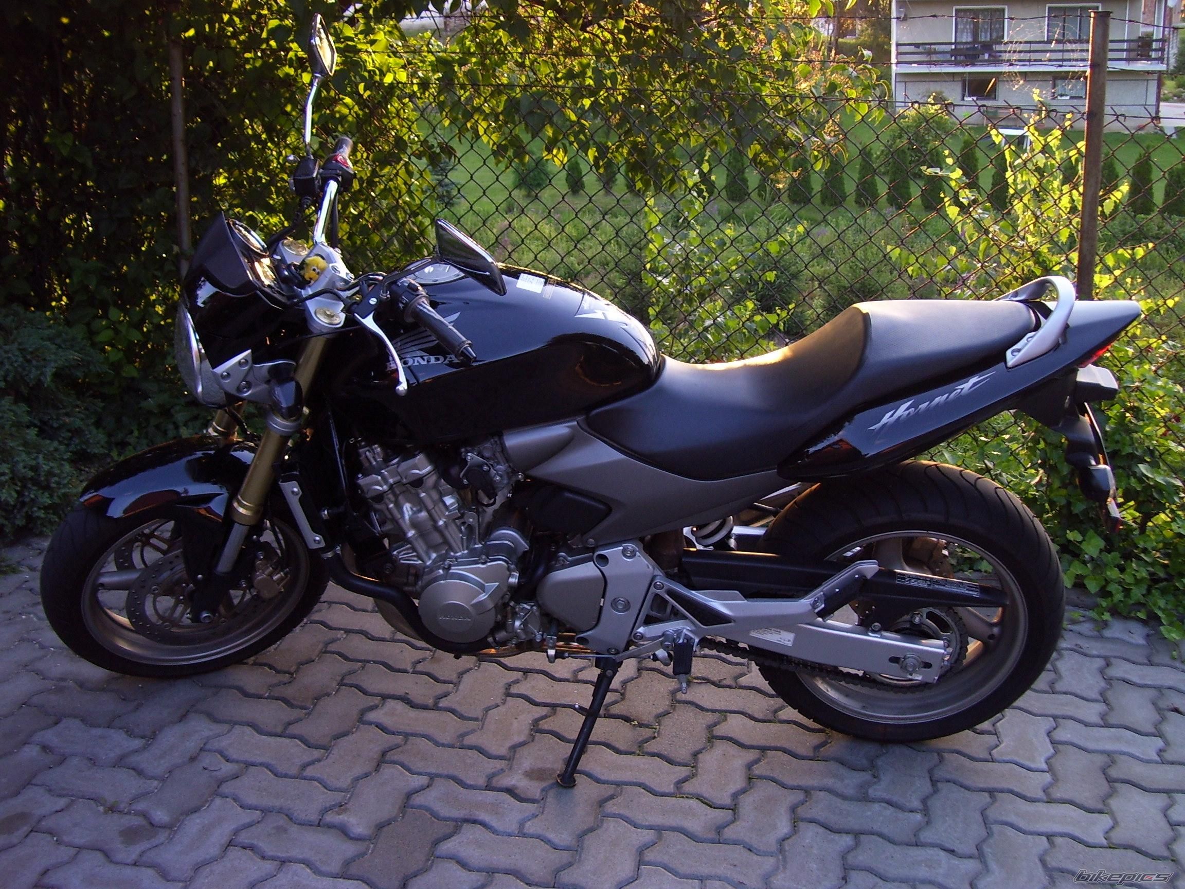 Photo 968399