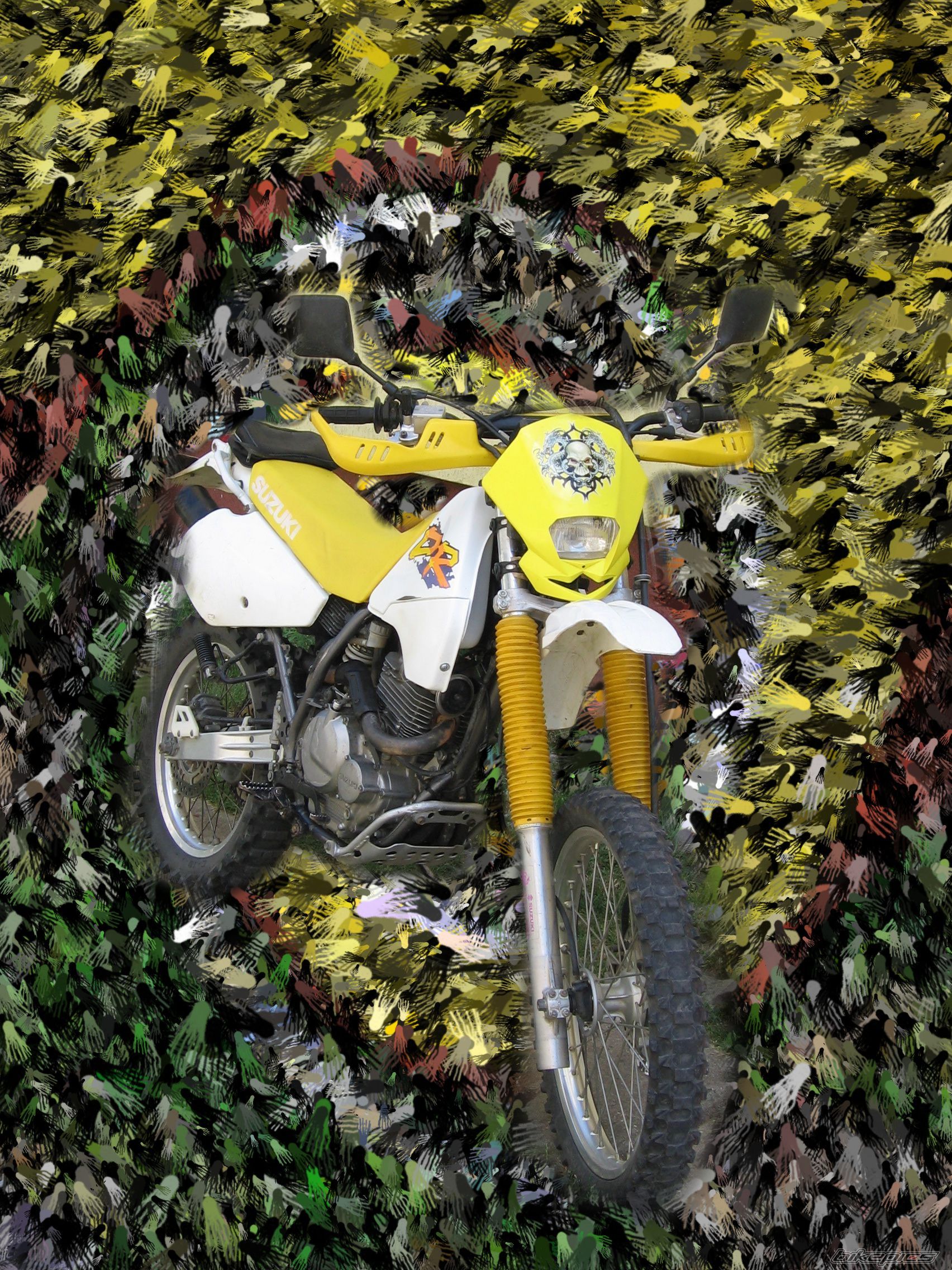 Bike Photo 968431