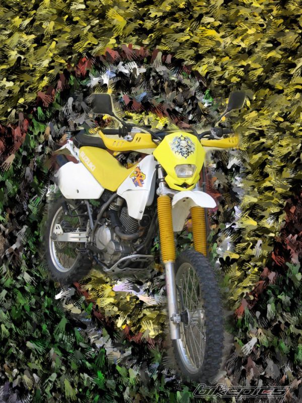 Bike Photo 968437