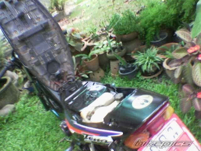 Photo 968727