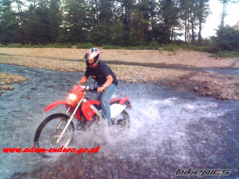 Photo 968735