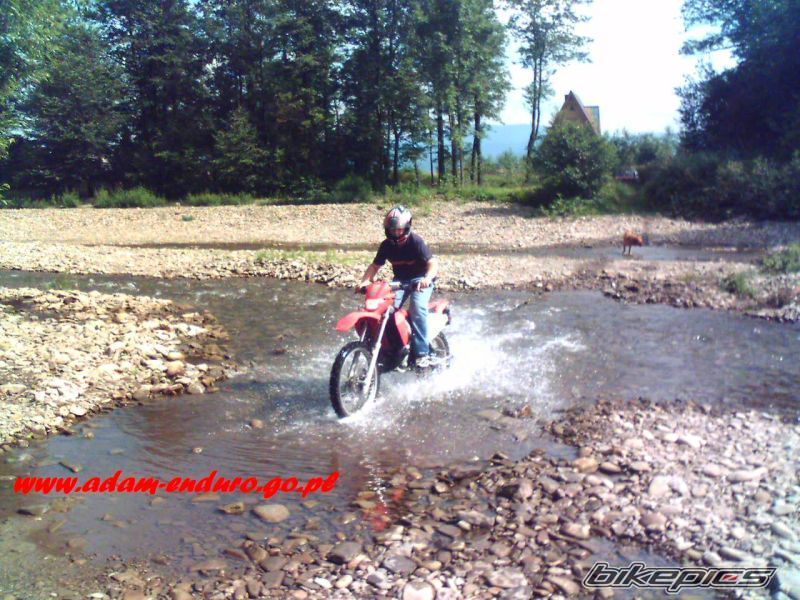 Photo 968736