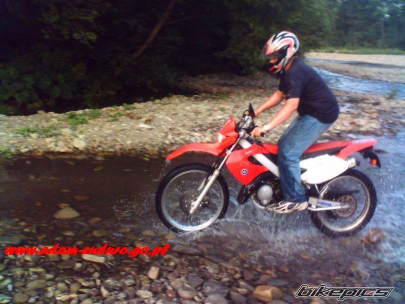 Photo 968737