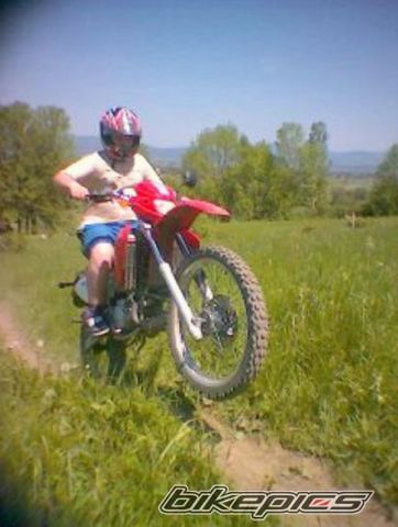 Photo 968739