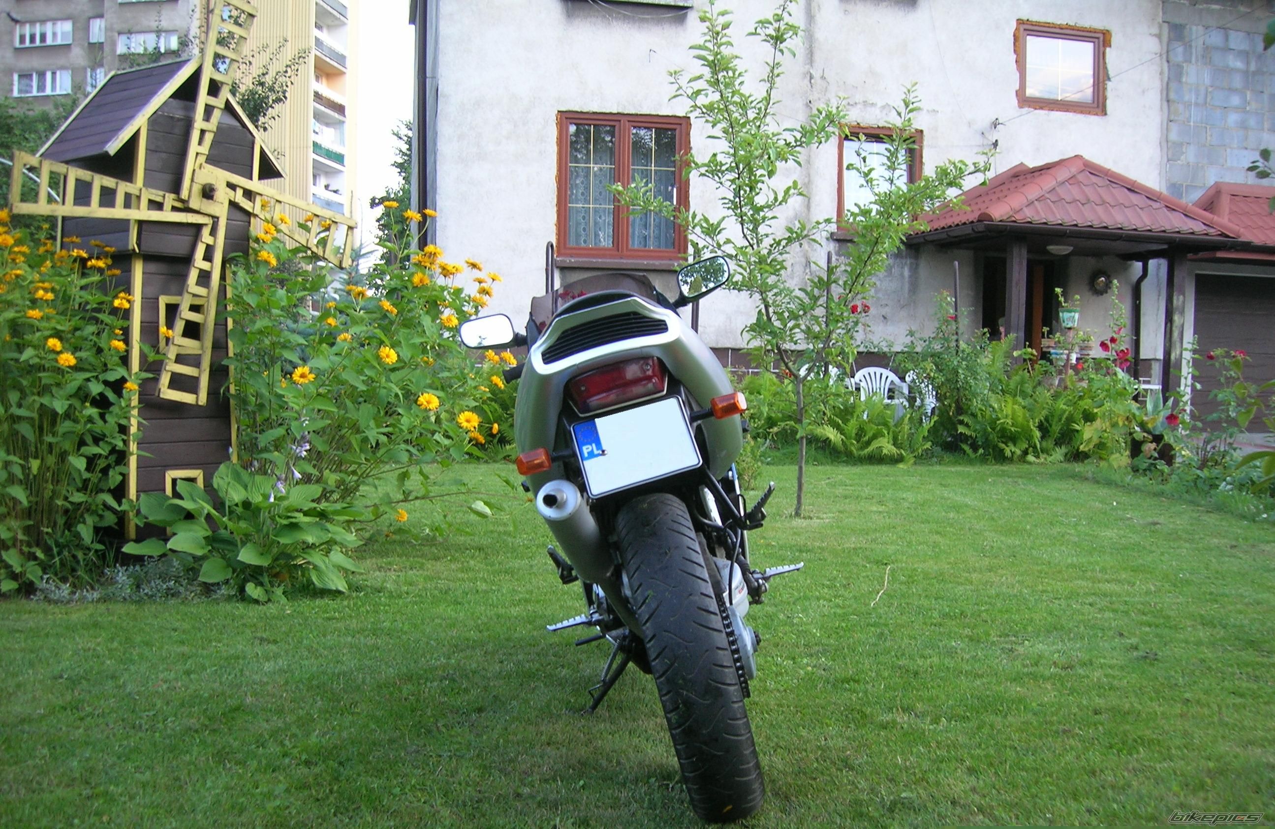 Photo 968762