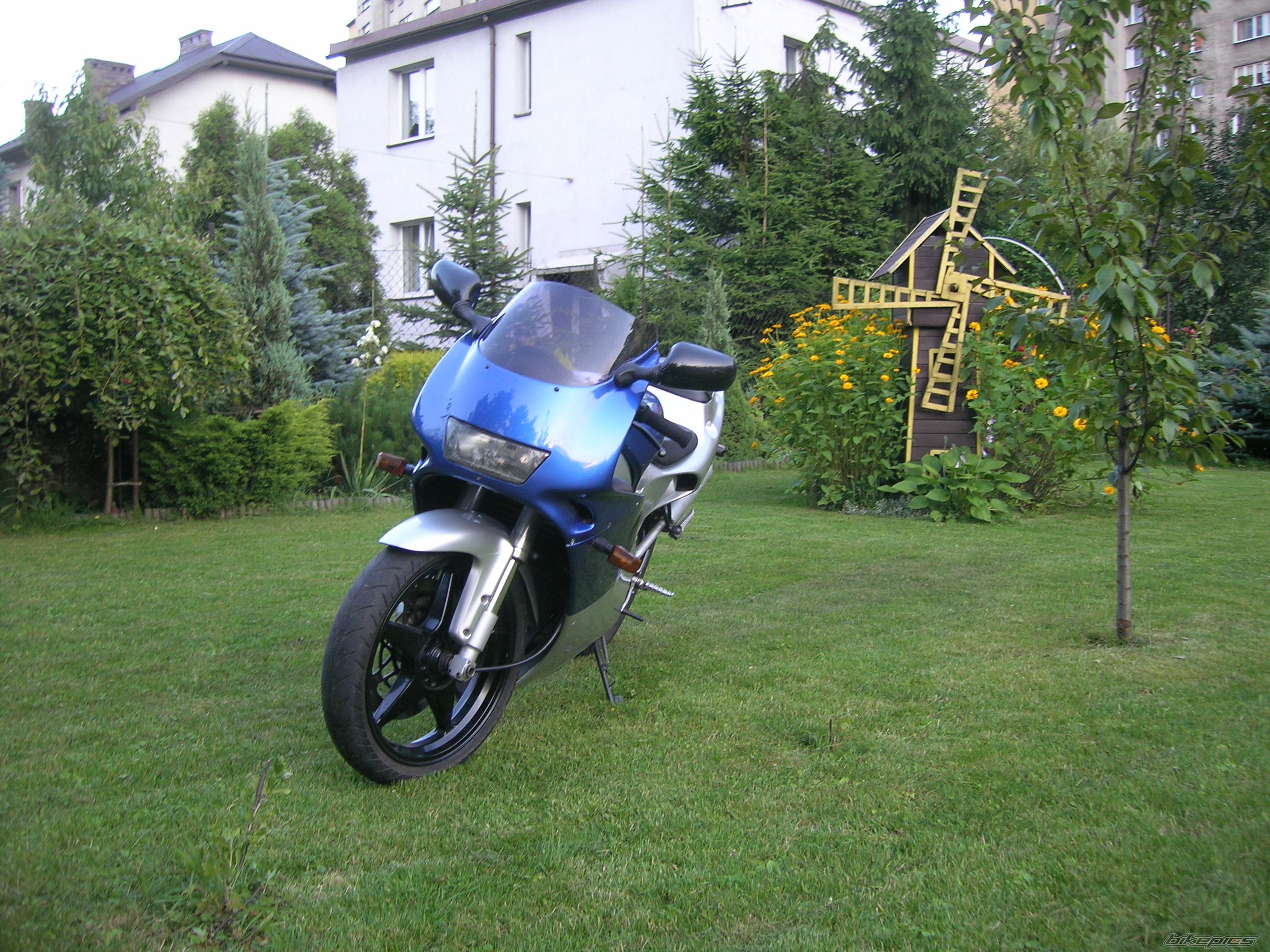 Photo 968763