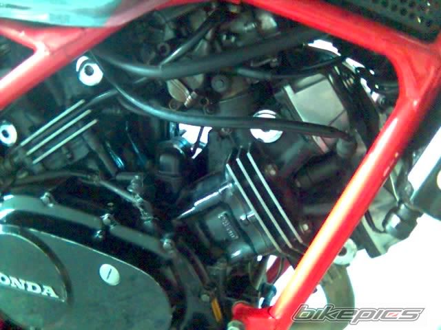 Photo 968908