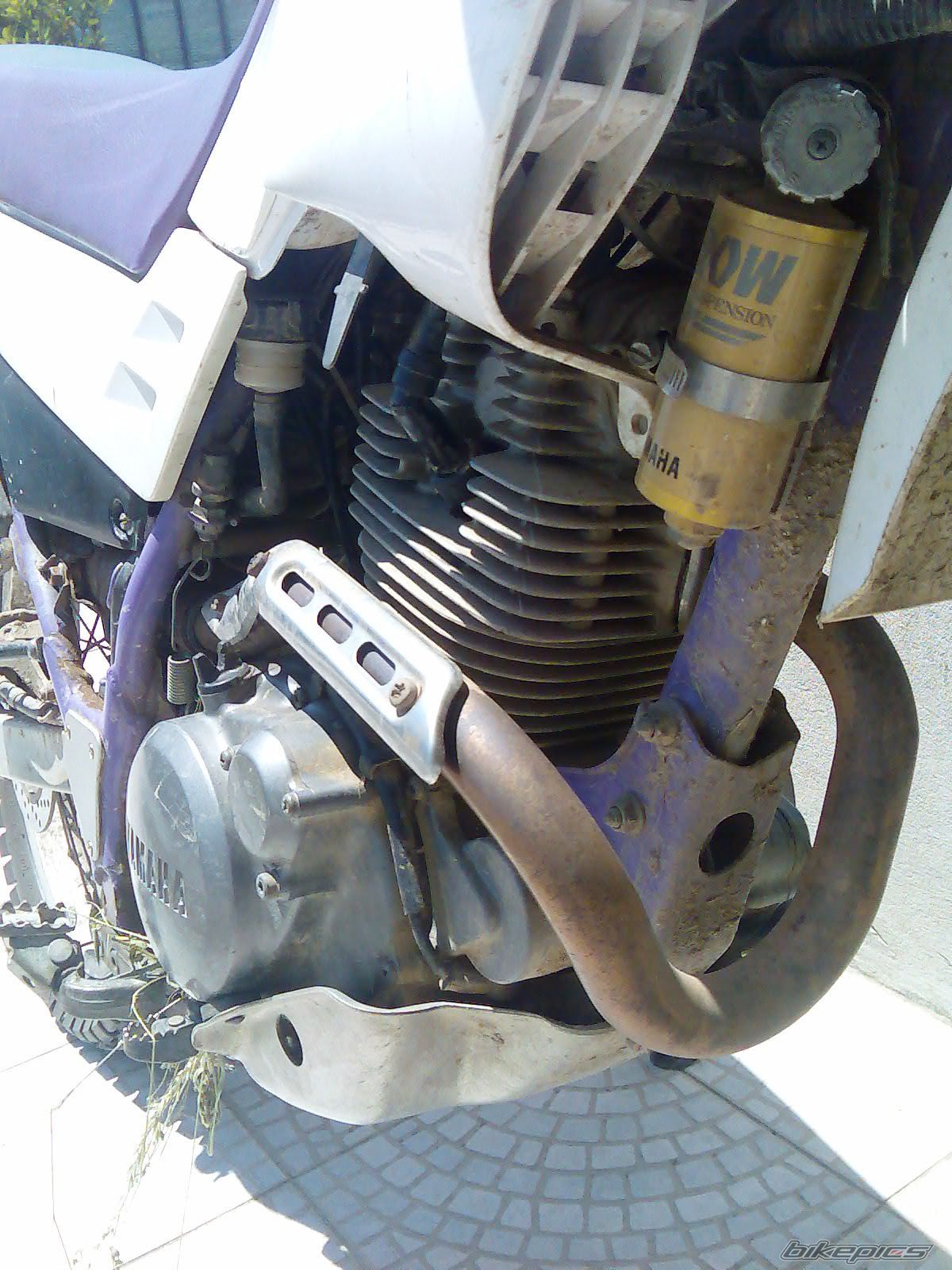 Bike Photo 969056