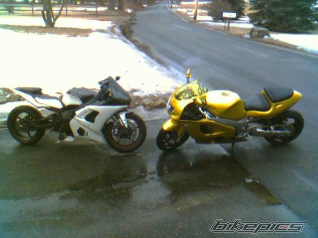 Photo 969201