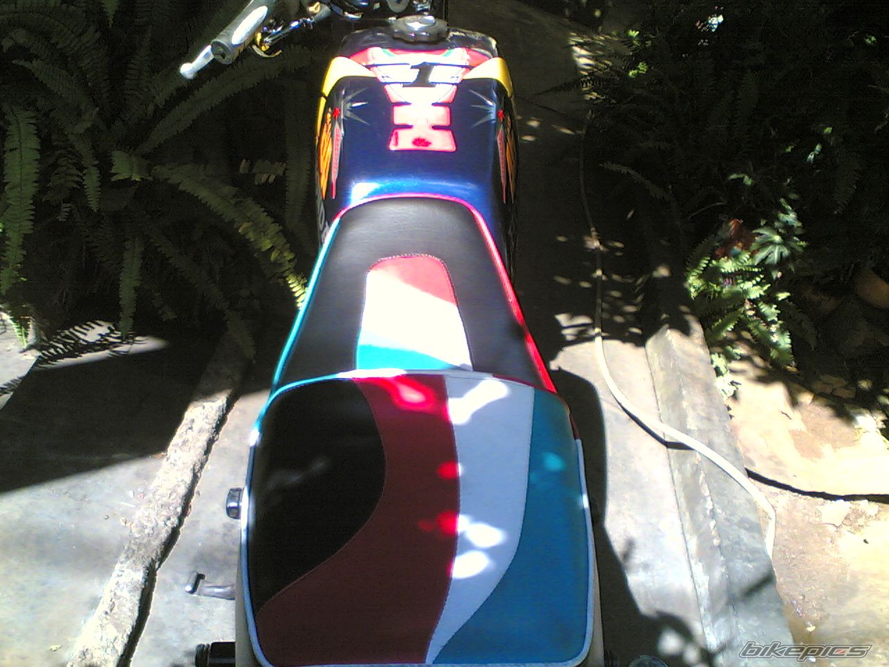 Photo 969253