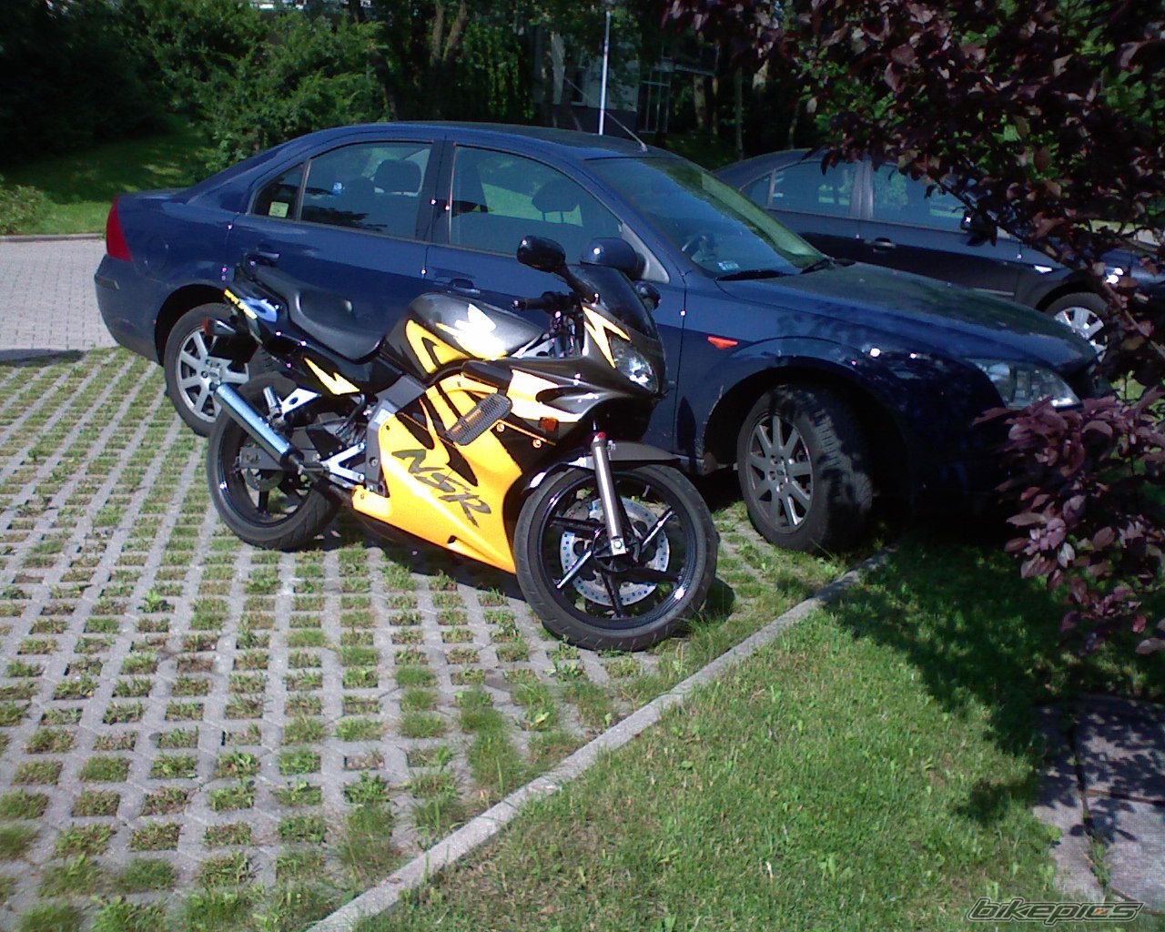 Photo 969496