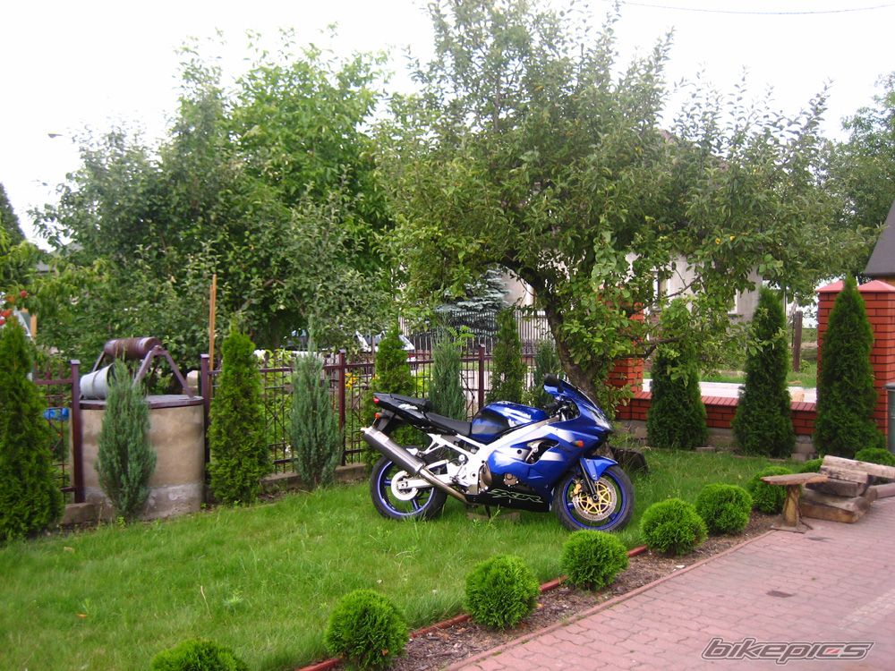 Bike Photo 969534