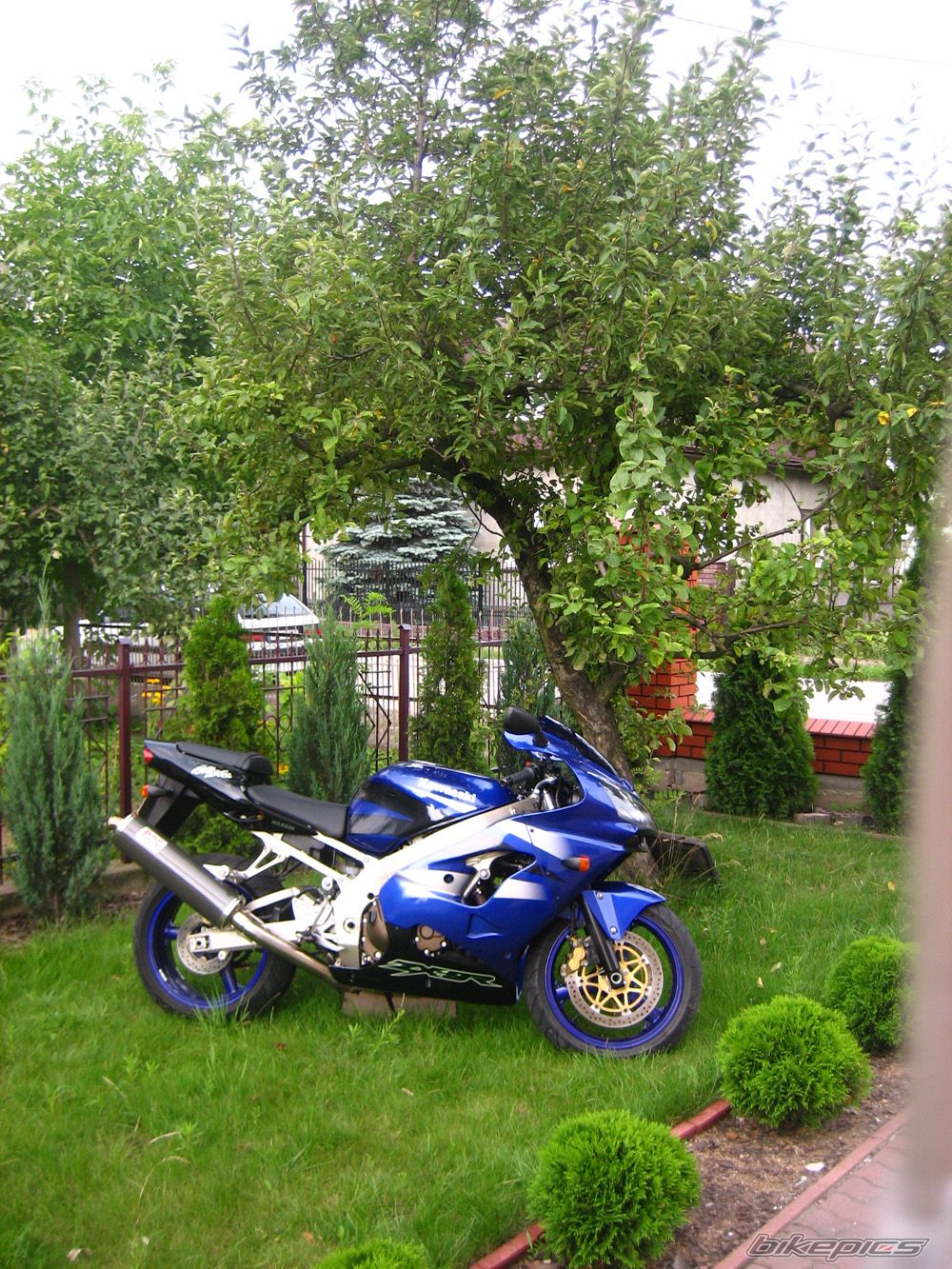 Bike Photo 969537