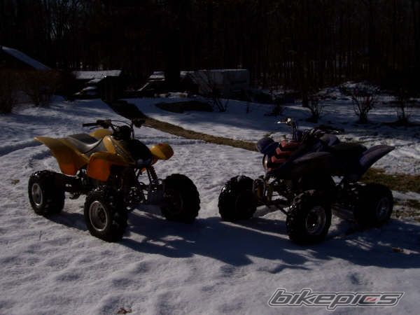 Photo 969552
