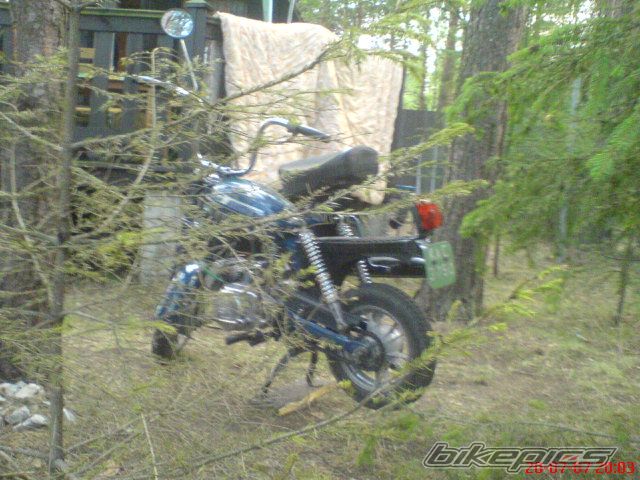 Photo 969623