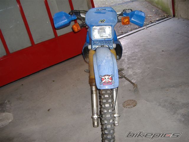 Photo 969631