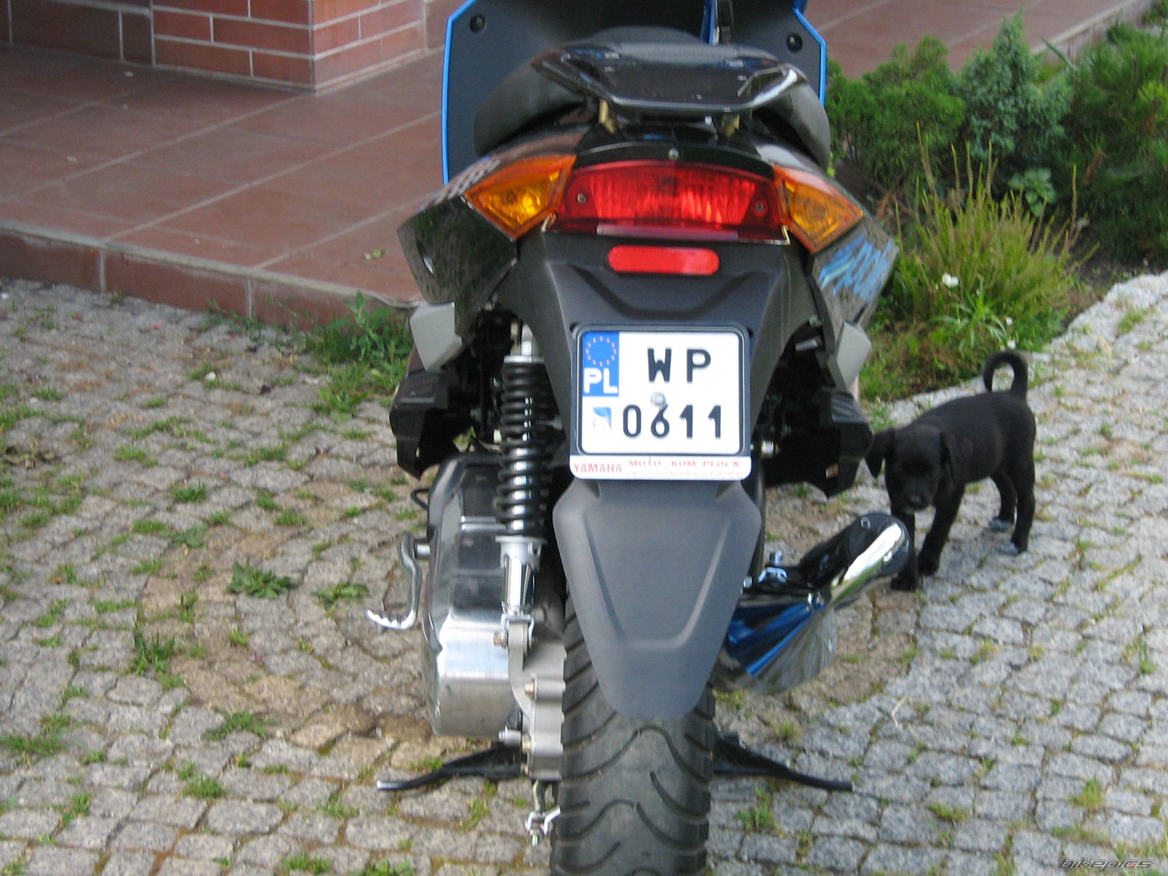 Photo 969673