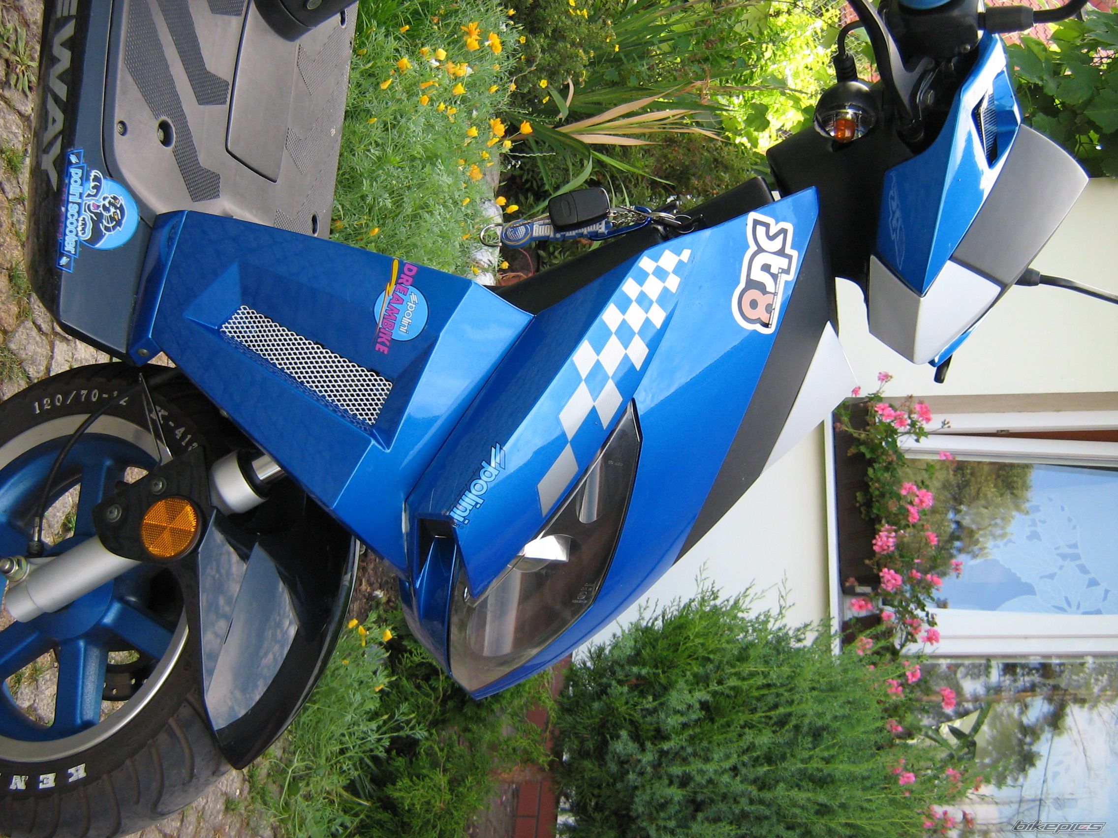 Photo 969709