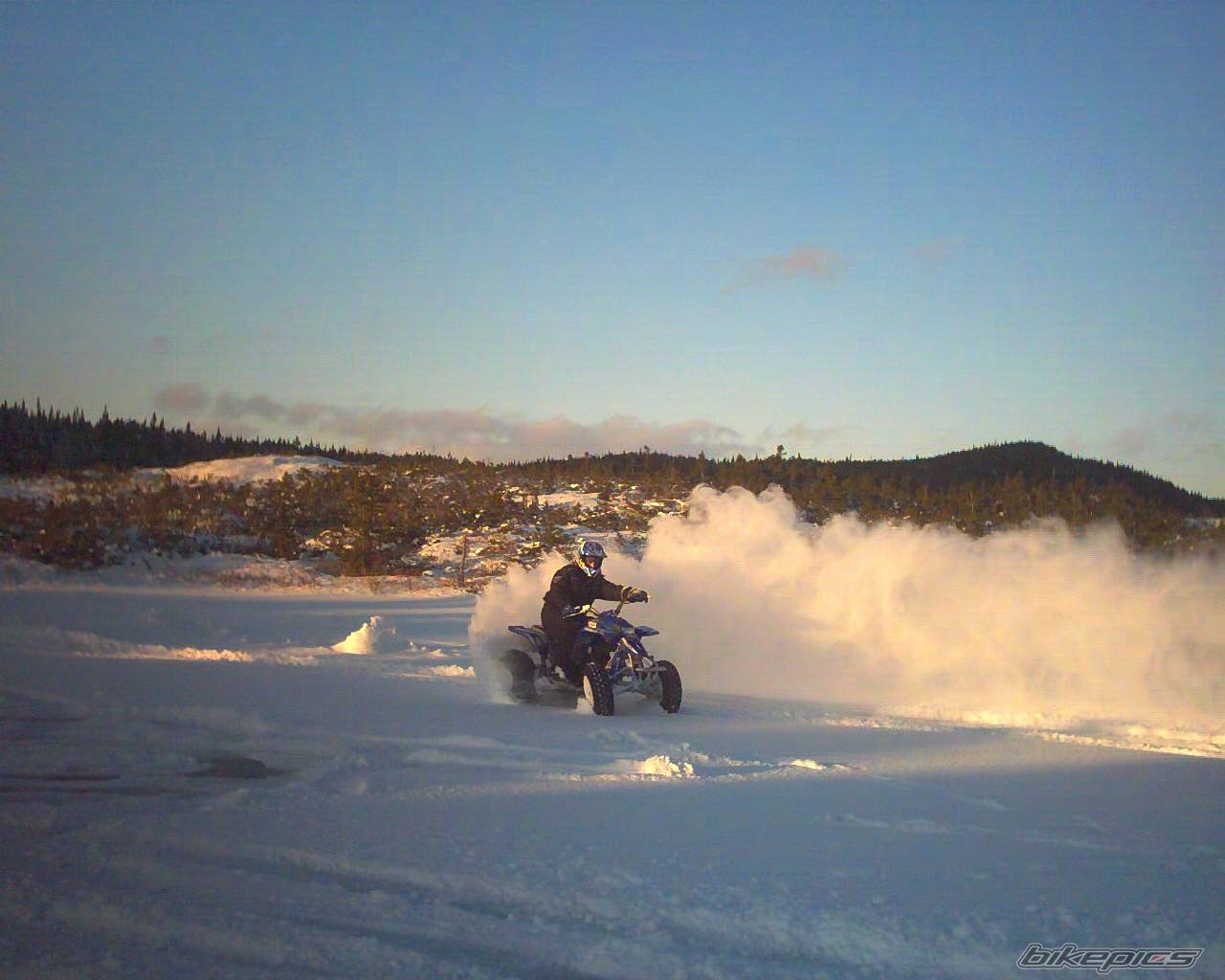 Photo 96977