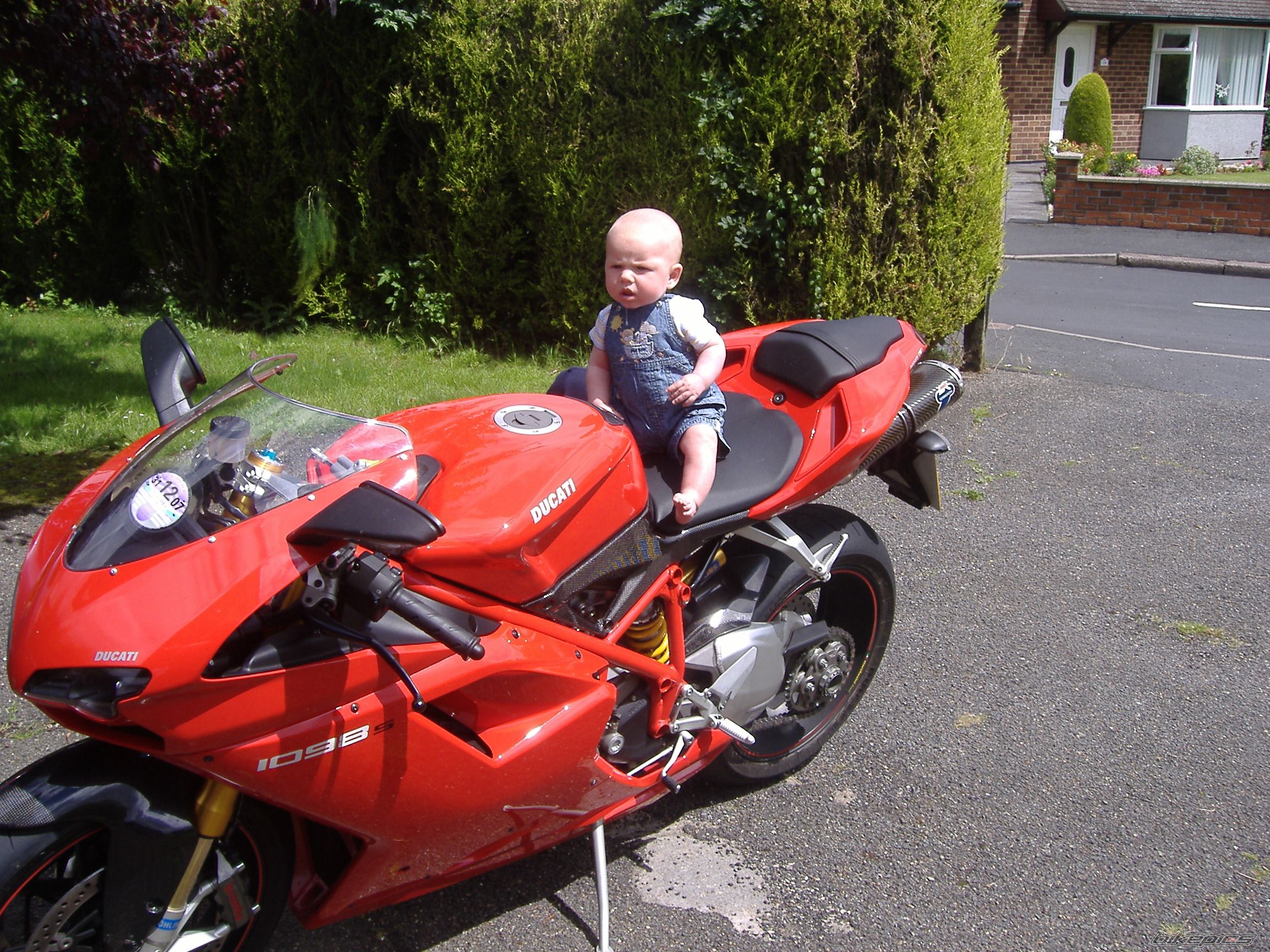 Photo 969794