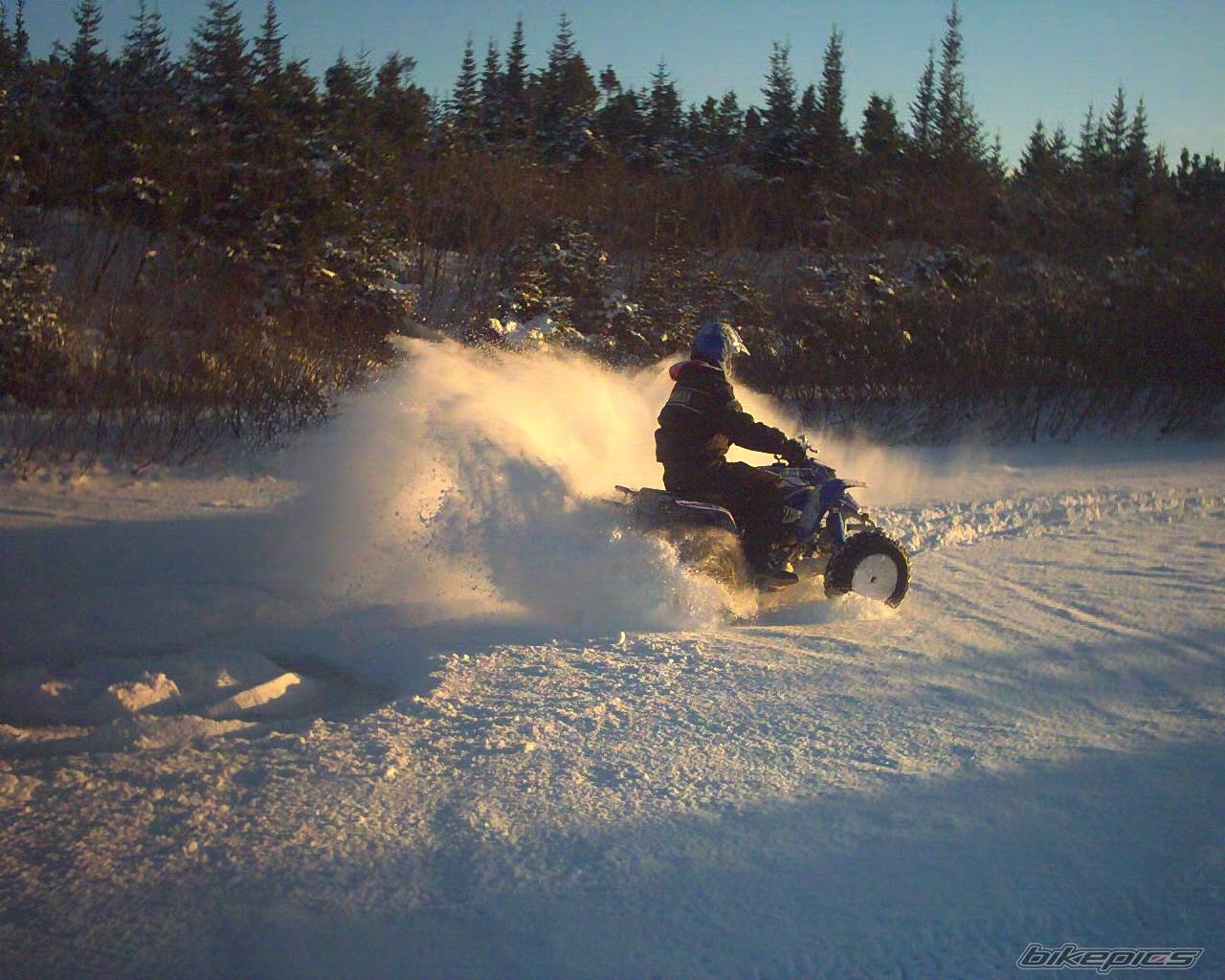 Photo 96981