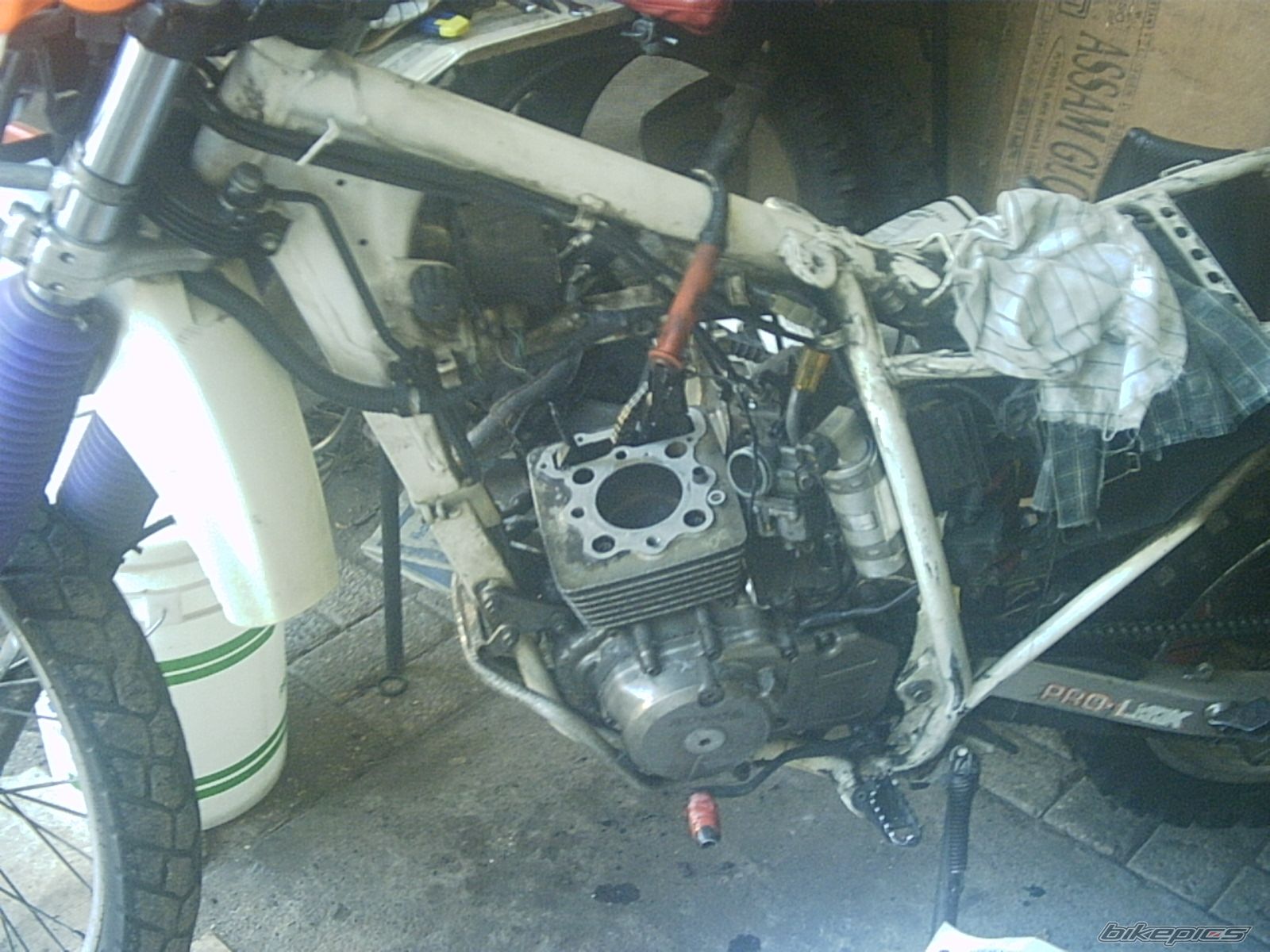 Photo 969851