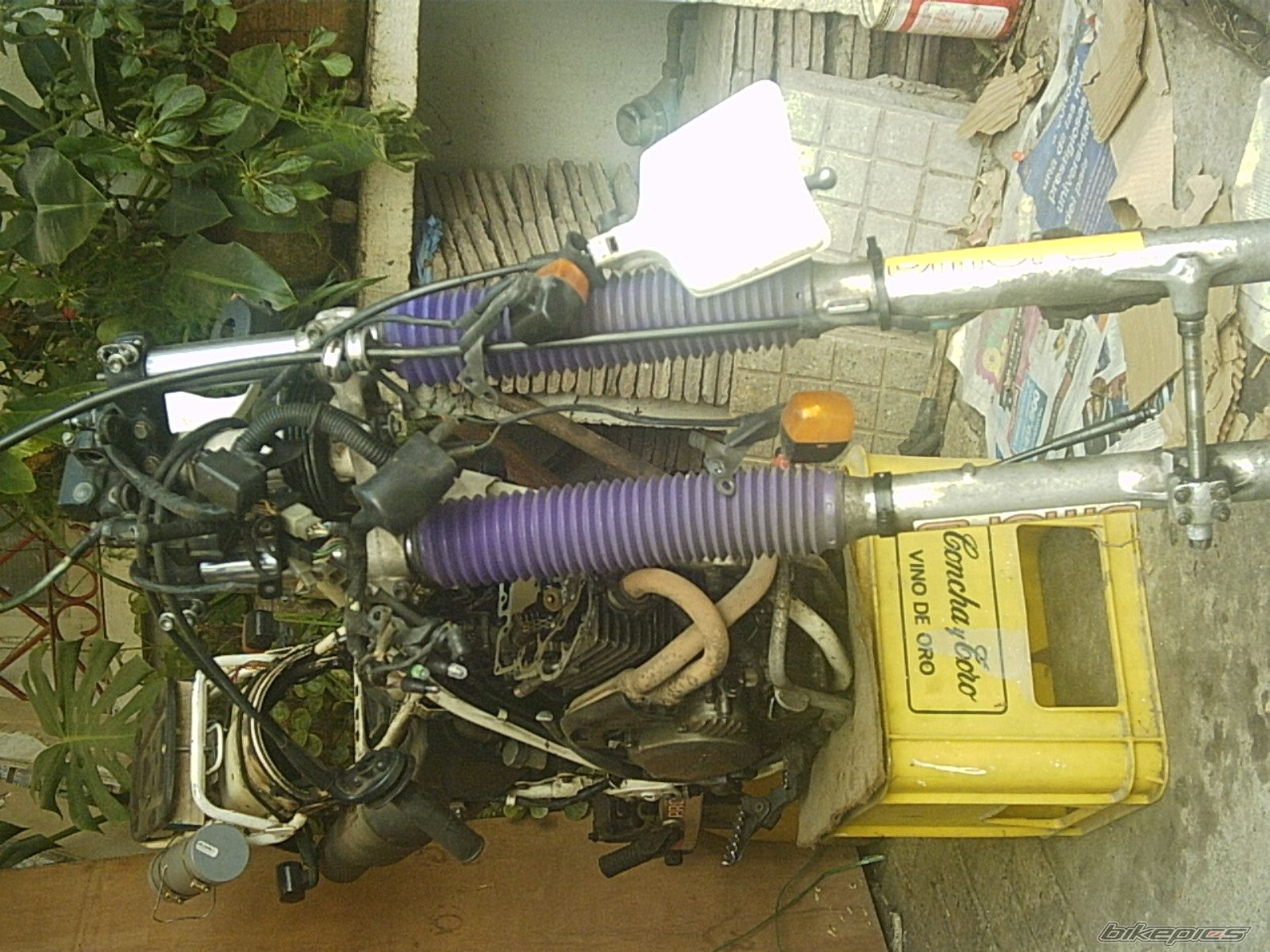 Photo 969860