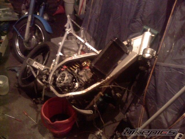 Photo 969868