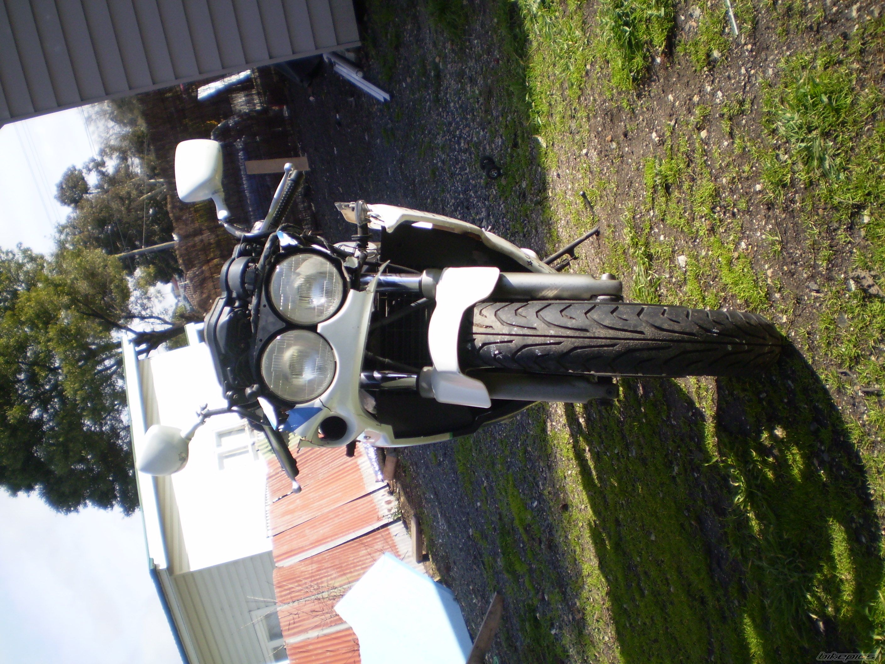 Photo 970038