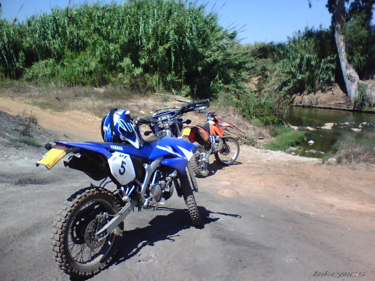 Photo 970189