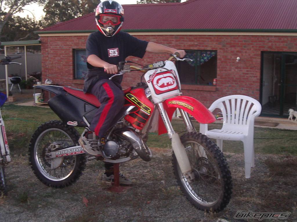 Photo 97019