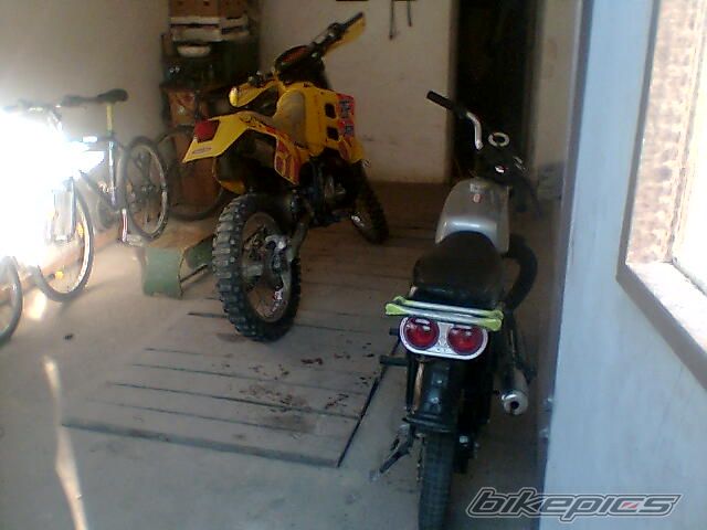 Photo 970282