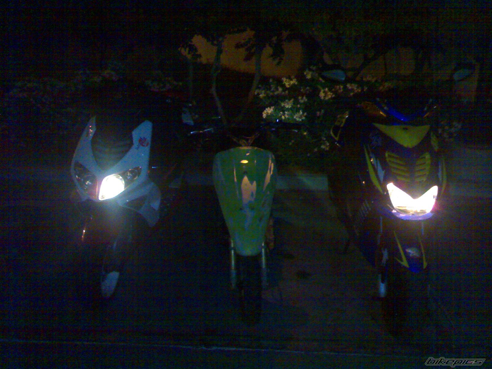 Photo 970464