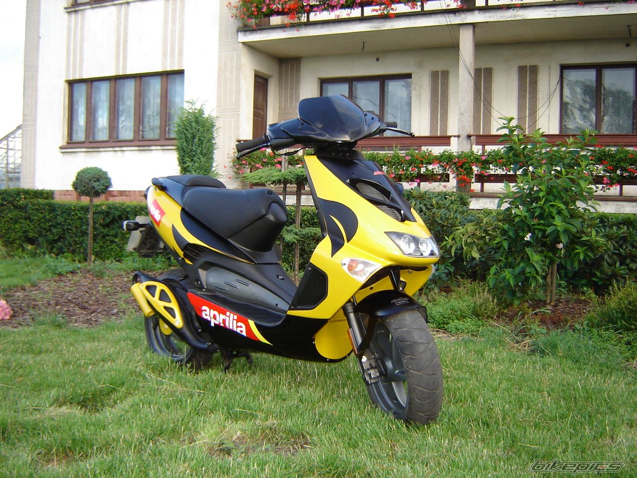Bike Photo 970537