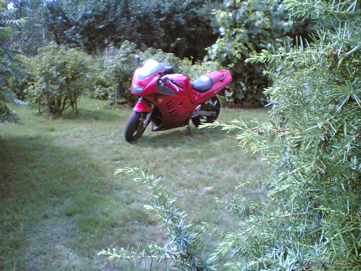 Bike Photo 970563
