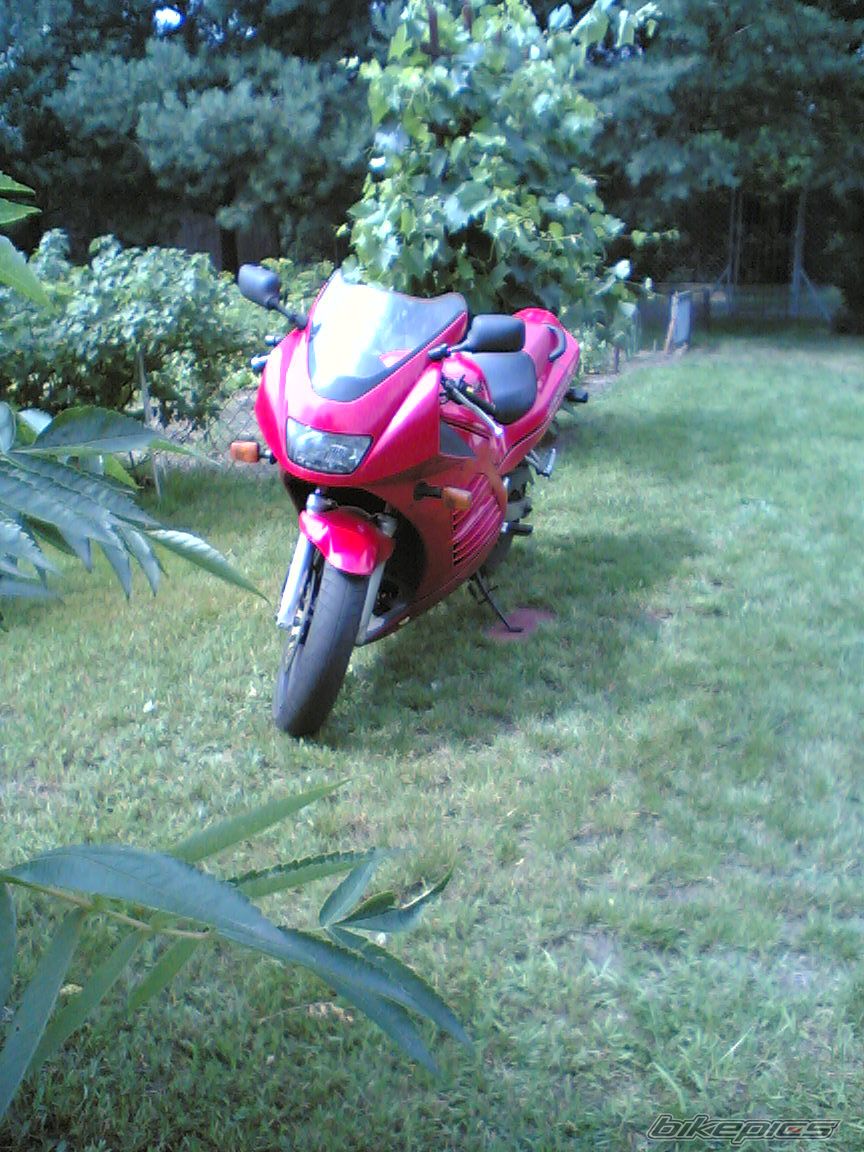 Photo 970566