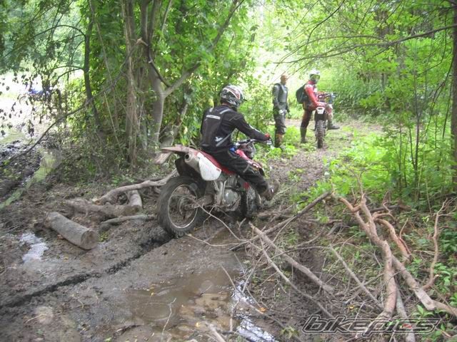 Bike Photo 970868
