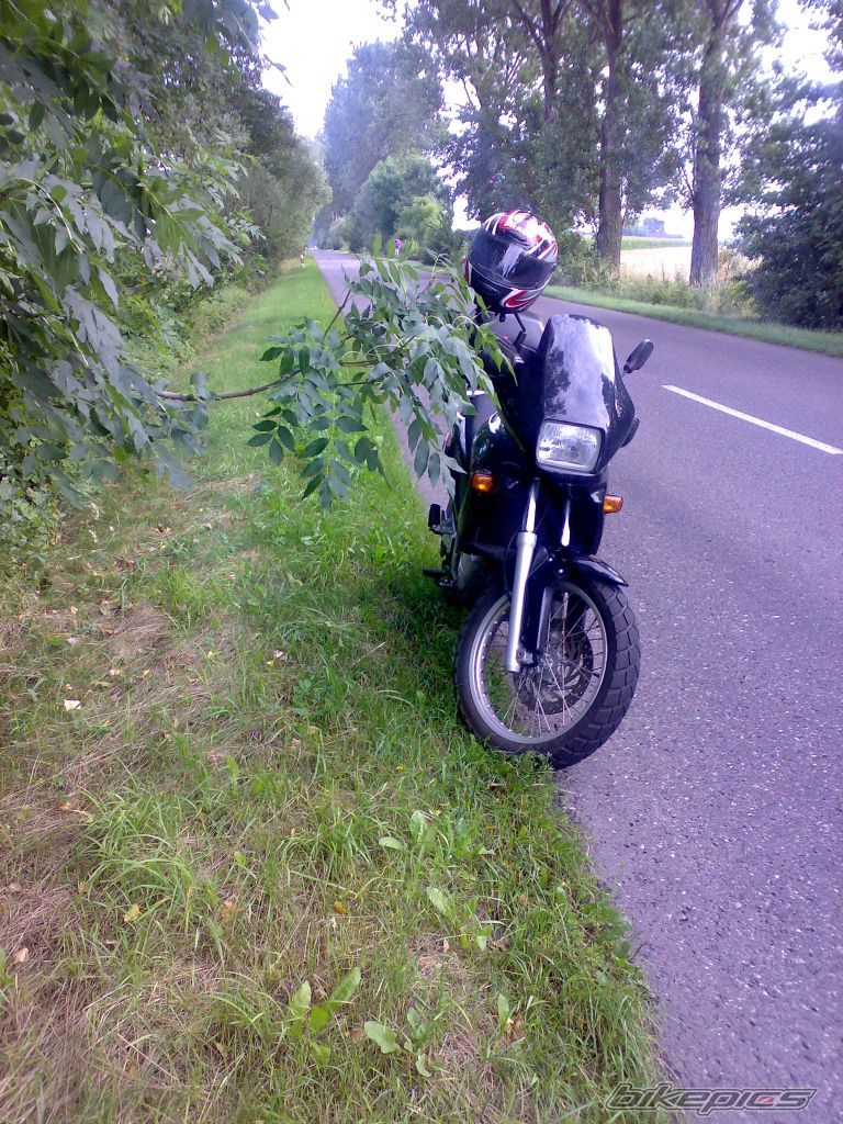 Photo 970895