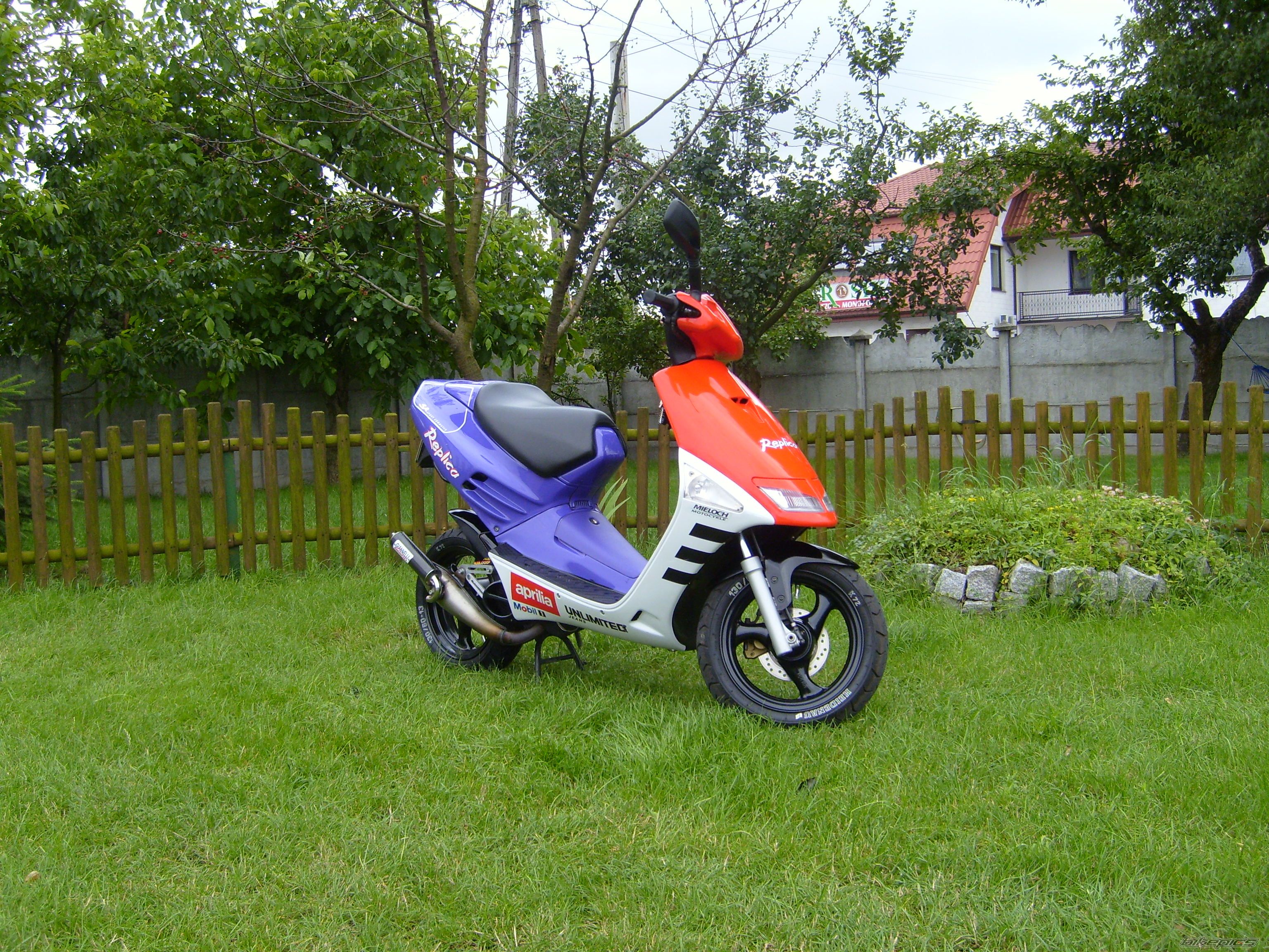 Photo 970981