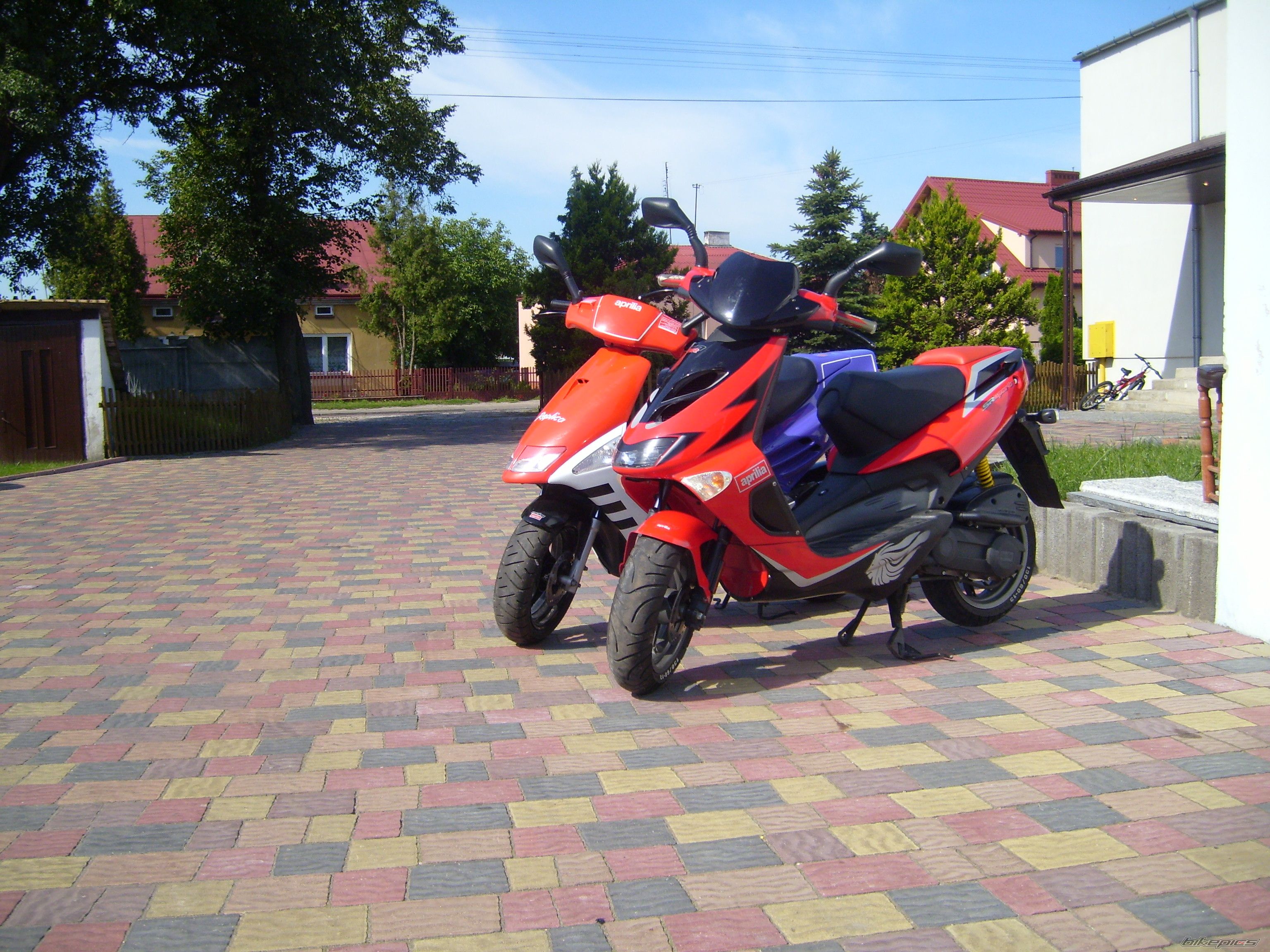 Photo 971001