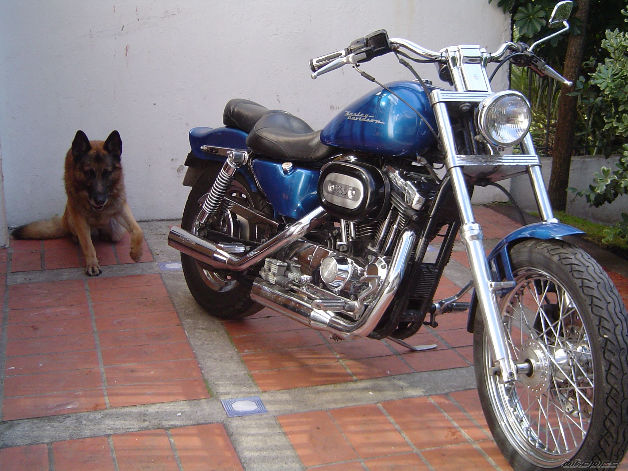 Bike Photo 971078