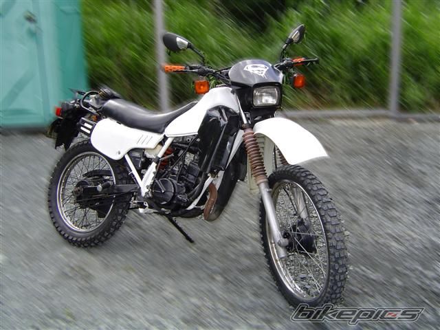 Photo 971113