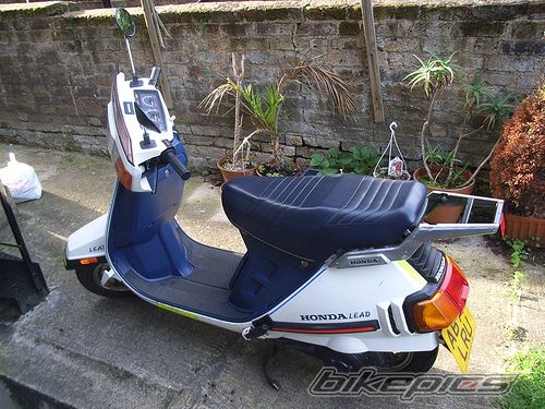 Bike Photo 971290
