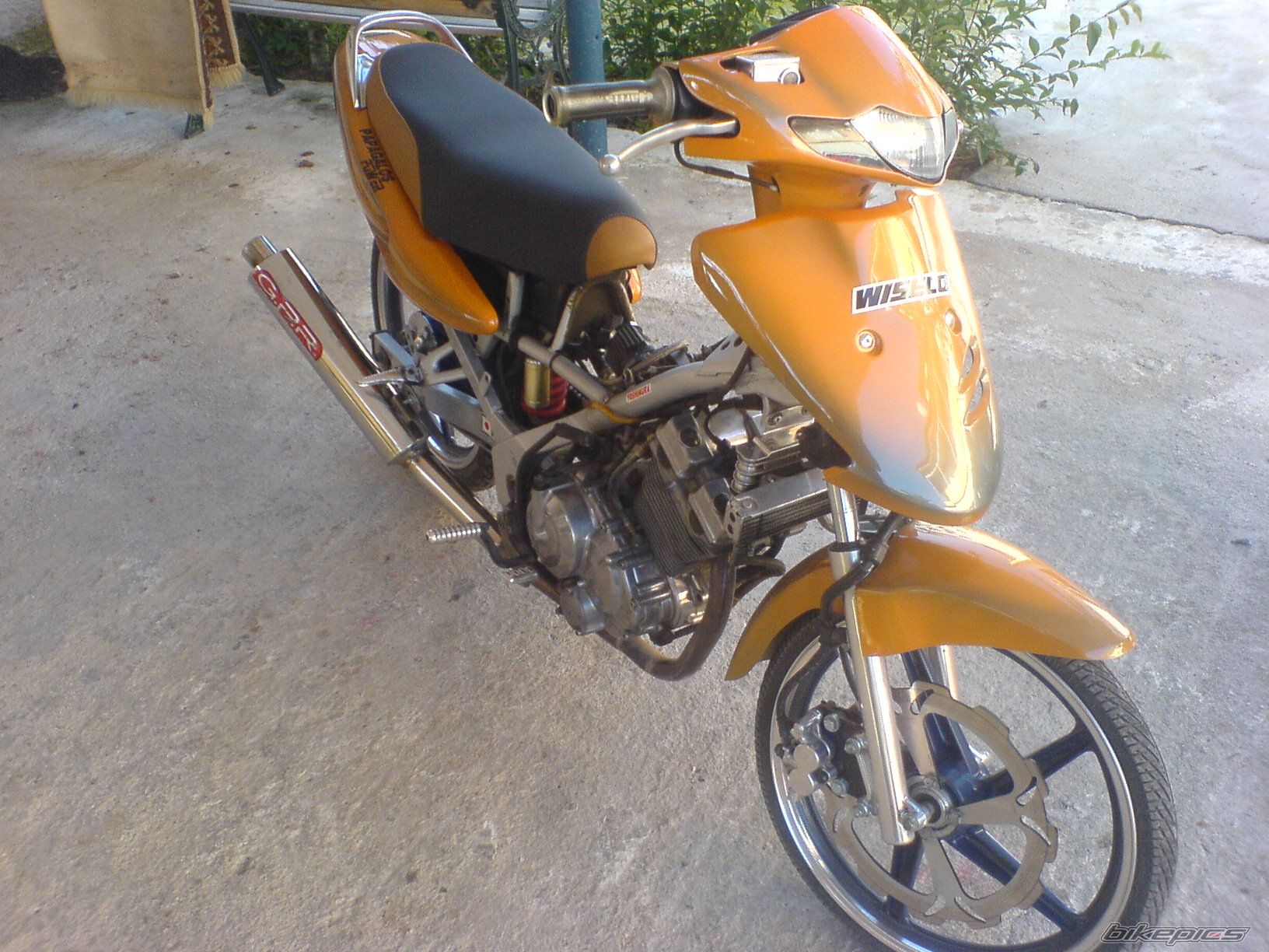 Photo 971480