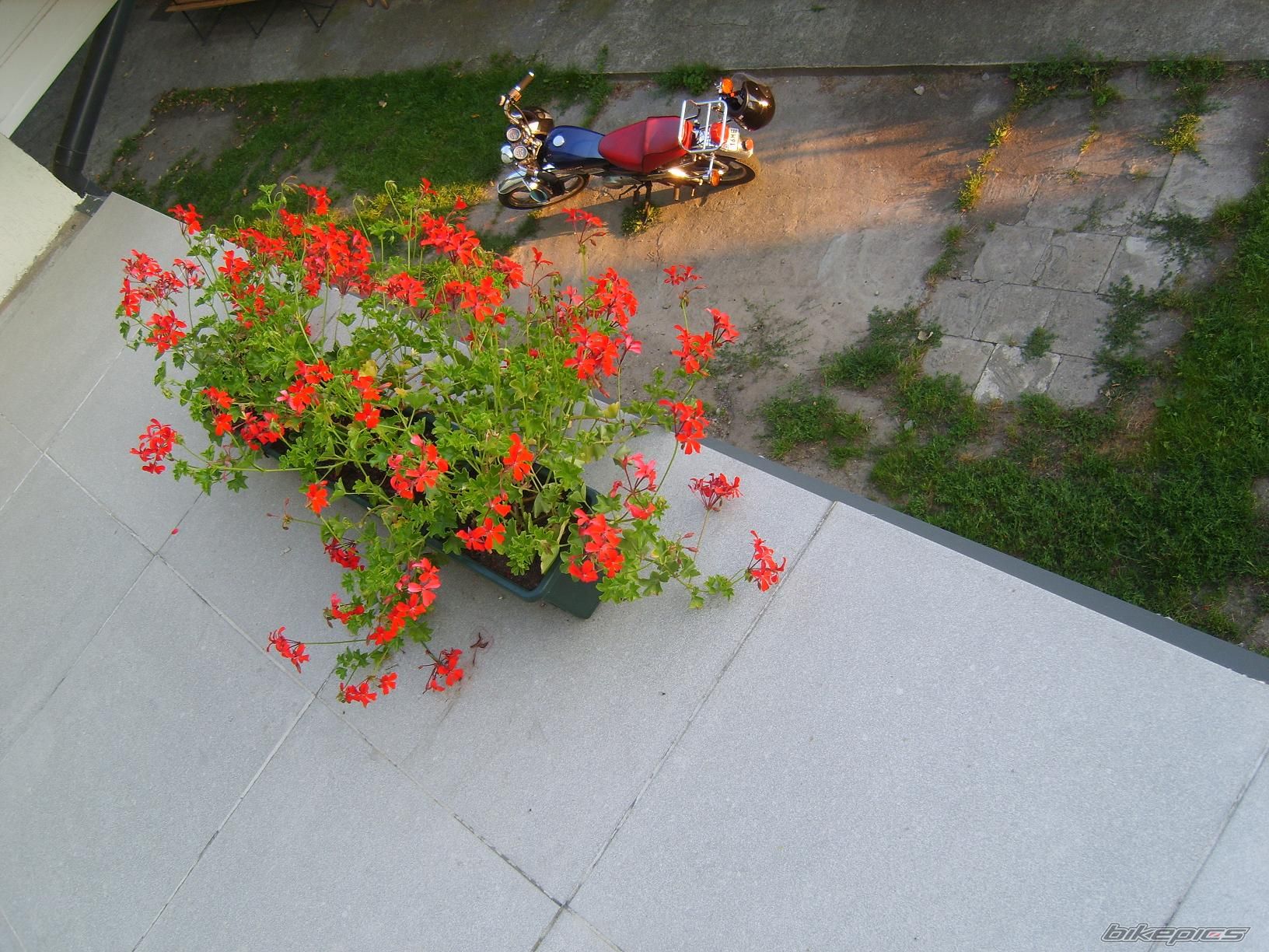 Photo 971662