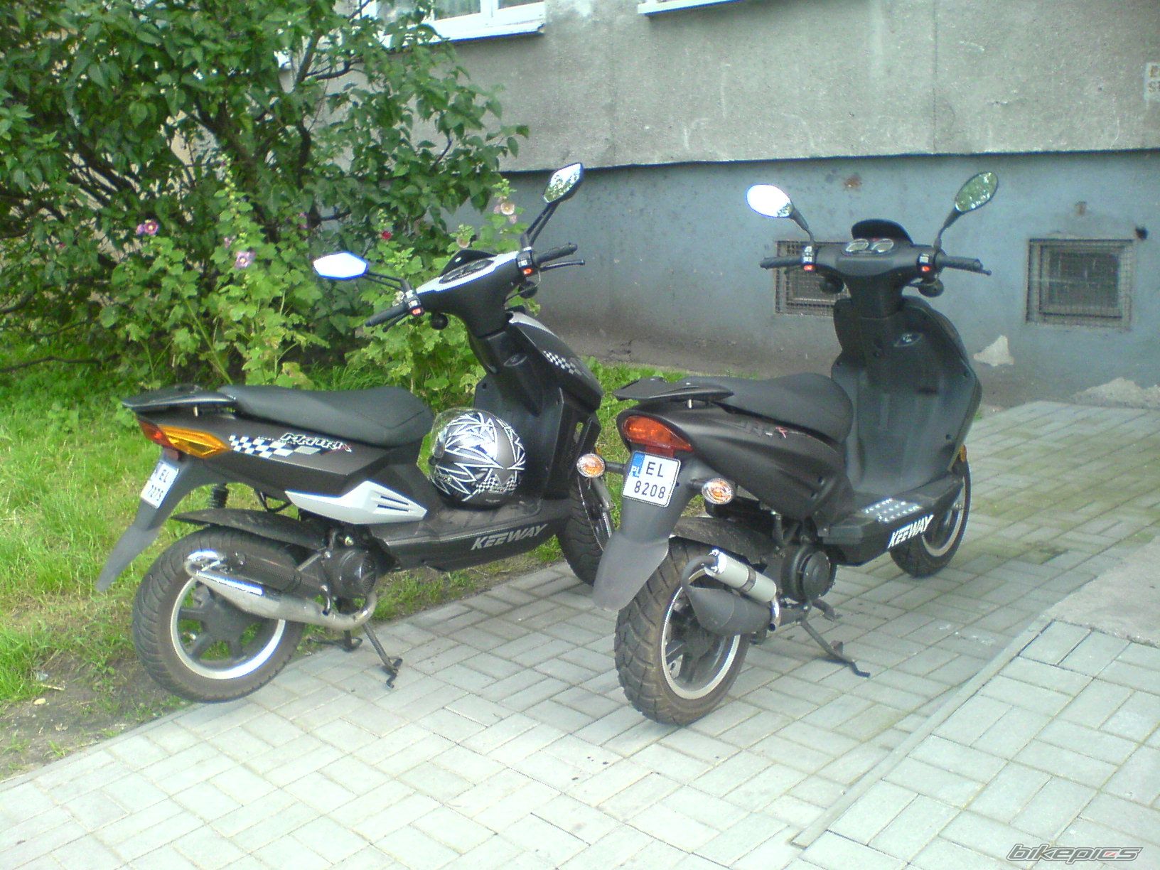 Photo 971693