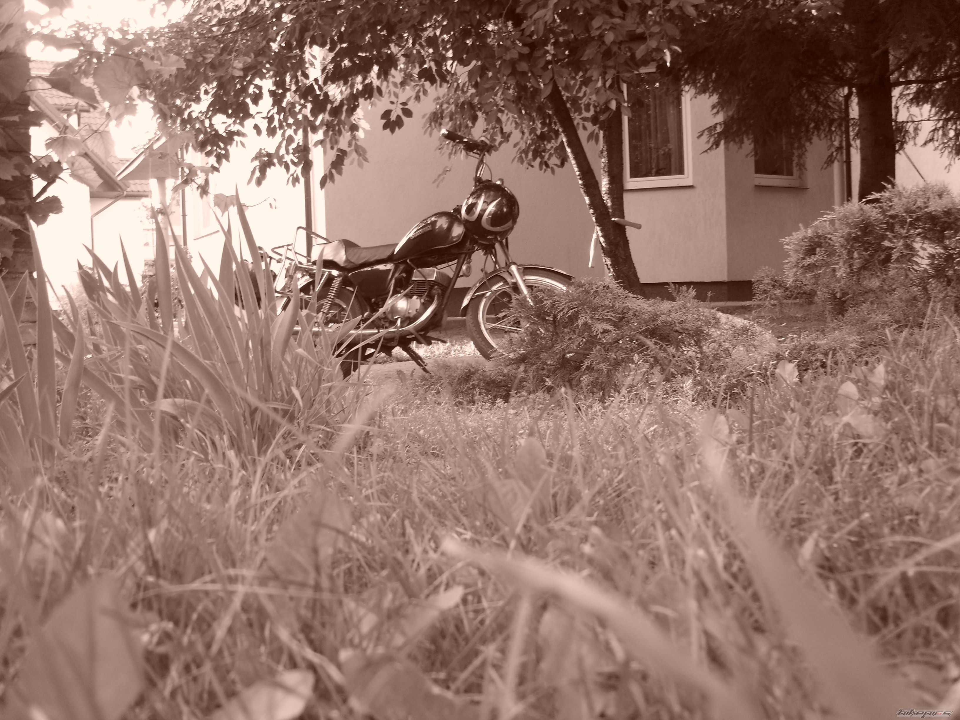 Photo 971713